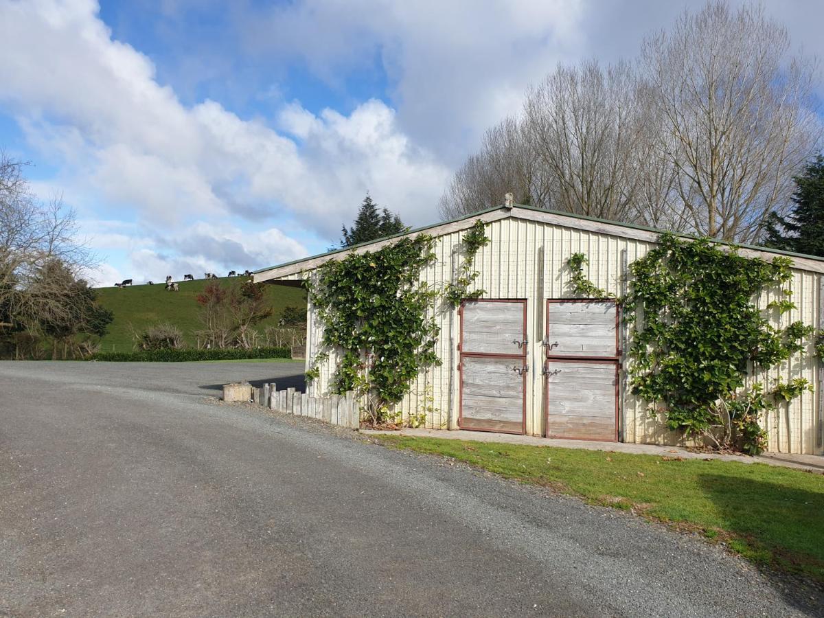 Shargmor Stable Hotel Matamata Bagian luar foto
